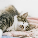 Thumbnail of post image 044