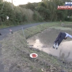 Thumbnail of post image 018