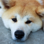 Thumbnail of post image 062