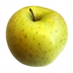 Thumbnail of post image 174